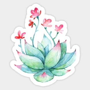 Watercolor Succulent sticker Sticker